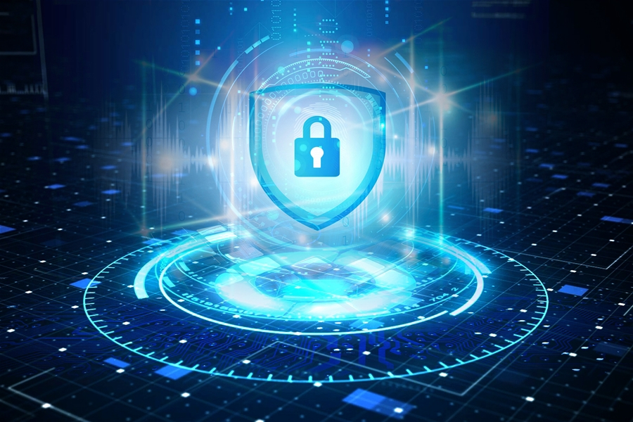 Vulnerability management at MK Vision